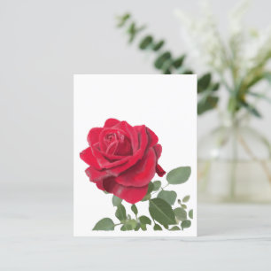 Carte Postale Peinture de rose rouge