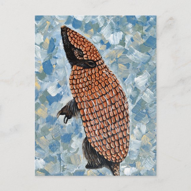 Carte Postale Peinture de Tatou (Devant)