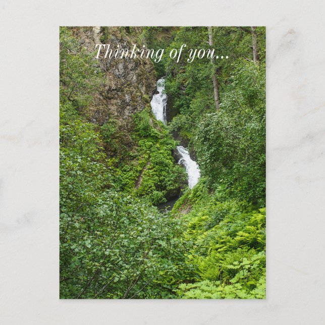 Carte Postale Peinture de Thunderbird (Devant)