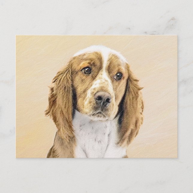 Carte Postale Peinture de Welsh Springer Spaniel - Art canin ori (Devant)