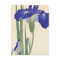 Peinture des Irises Bleues par Ohara Koson