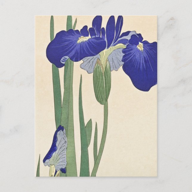 Carte Postale Peinture des Irises Bleues par Ohara Koson (Devant)