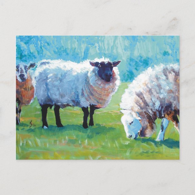 Carte Postale Peinture des moutons Lumière d'été (Devant)