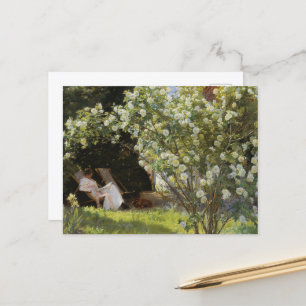 Carte Postale Peinture d'été vintage Roses blanches Lecture femm