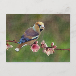 Carte Postale Peinture digitale européenne
