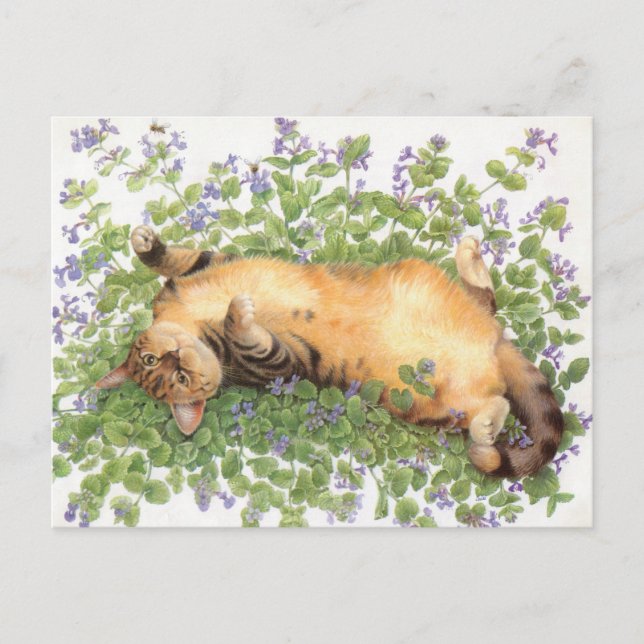 CARTE POSTALE PEINTURE EN CHAT (Devant)