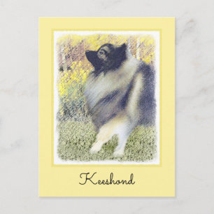 Carte Postale Peinture en teint de Keeshond - jolie art original