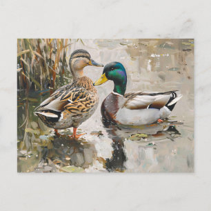 Carte Postale Peinture faunique de canard et de colard