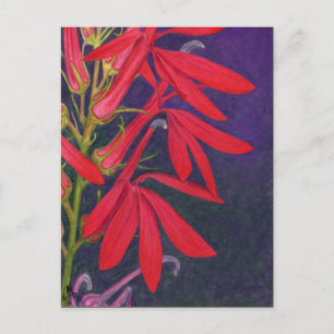Carte Postale Peinture florale à fleurs cardinales