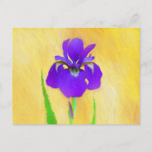 Carte Postale Peinture Iris à pois pourpre - Chien original mign