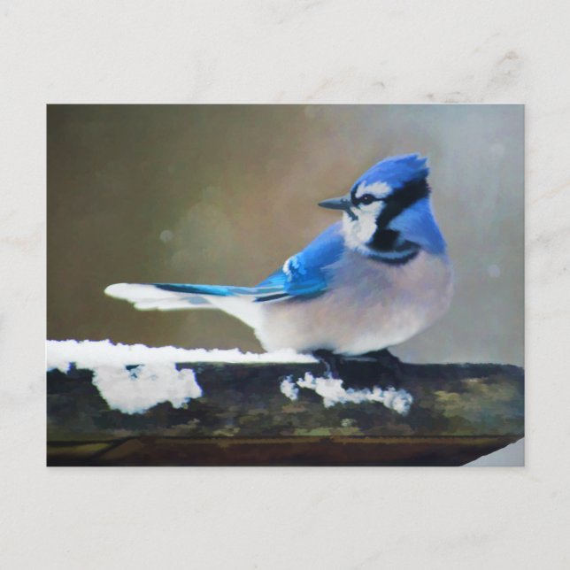 Carte Postale Peinture Jay Bleu - Art Oiseau Original (Devant)