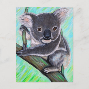 Carte Postale Peinture Koala