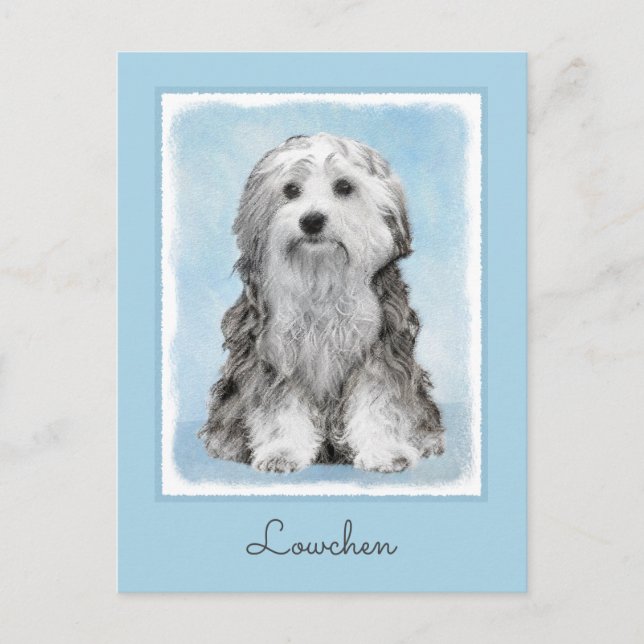 Carte Postale Peinture Lowchen - Cute Original Chien Art (Devant)