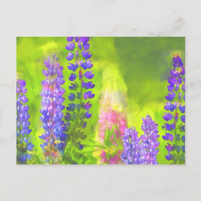 Carte Postale Peinture Lupine - Art Fleur Original (Devant)