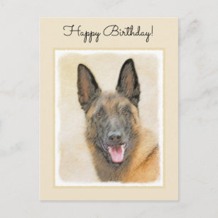 Cartes De Vœux Chien Belge Malinois Zazzle Fr