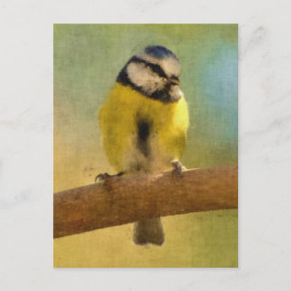 Carte Postale Peinture numérique bleue européenne