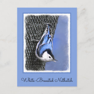Carte Postale Peinture Nuthatch à poitrine blanche Art original