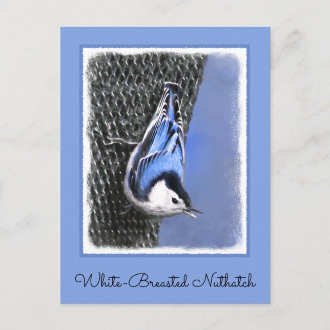 Carte Postale Peinture Nuthatch à poitrine blanche Art original (Devant)