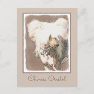 Carte Postale Peinture originale de chien nu chinois cresté Art