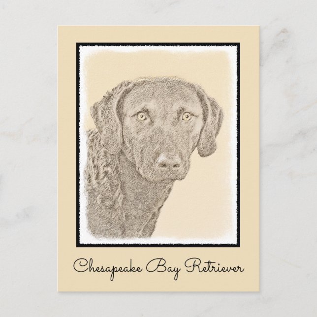 Carte Postale Peinture originale de chien par Retriever de Chesa (Devant)
