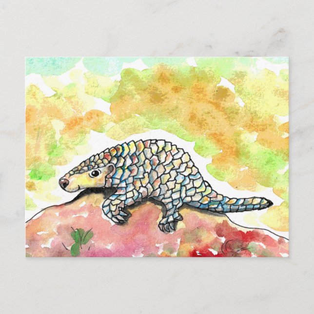 Carte Postale Peinture Pangolin mignonne (Devant)