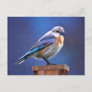 Carte Postale Peinture pour oiseaux bleus (femelle) - Art origin