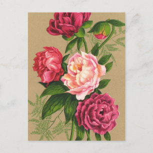 Carte Postale Peinture Roses Roses Rose Et Rouge
