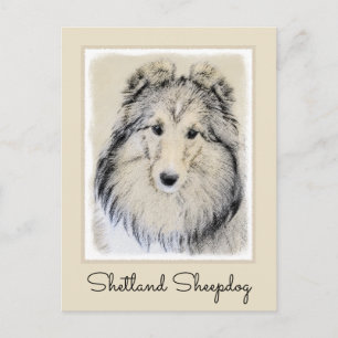 Carte Postale Peinture Shetland Sheepdog - Jolie art original ch