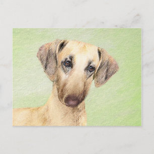 Carte Postale Peinture Sloughis - Joli art original pour chien