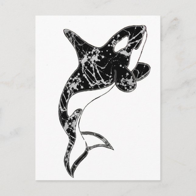 Carte Postale Peinture Splatter Orca Art (Devant)