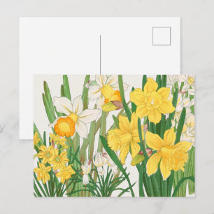Carte Postale Peinture sur bois de narcisse, Tanigami Kônan, 191