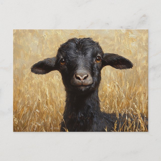 Carte Postale Peinture sur champ de blé de chèvre noire (Devant)