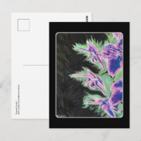 Peinture 'Tropical Orchid' sur une