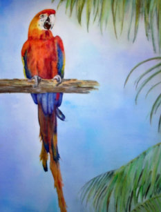 Get Wallpaper Cartes Postales Peinture Tropicale Plage Originales Zazzle Fr HD