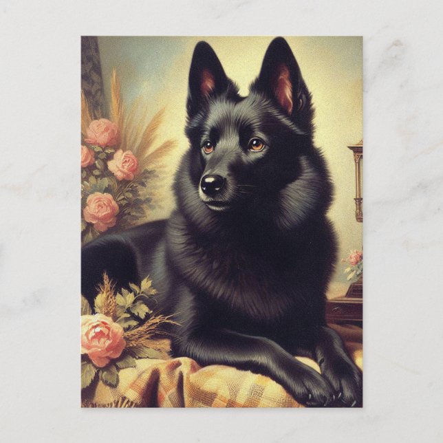 Carte Postale Peinture vintage de Chien Schipperke (Devant)