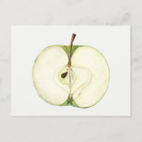 Peinture vintage de fruits de pomme verte