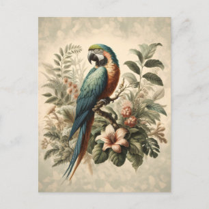 Carte Postale Peinture vintage Macaw Botanique