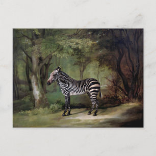 Carte Postale peinture Zèbre (1763)