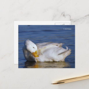 Carte Postale Pékin Canard souriant Mona Lisa sourire au soleil