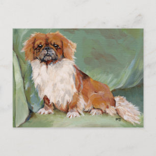 Carte Postale Pekingese