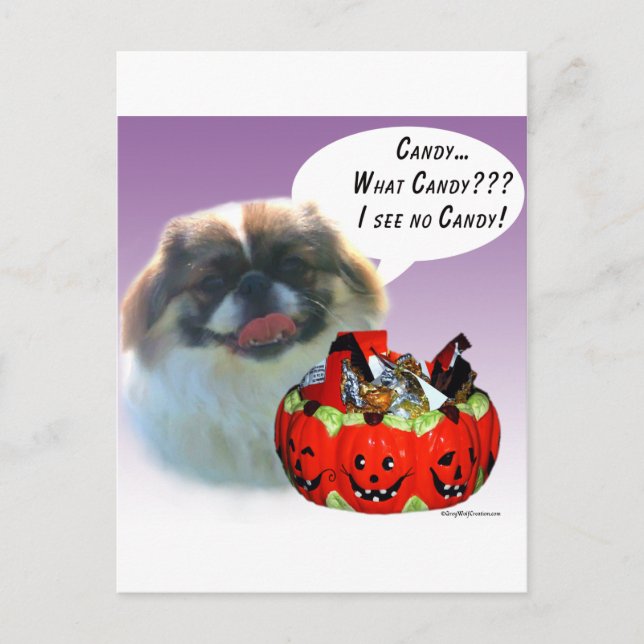 Carte Postale Pekingese Halloween Candy (Devant)