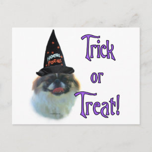 Carte Postale Pekingese Trick