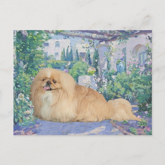 Carte Postale Pékinois en lavande (Devant)