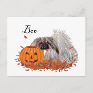 Carte Postale Pékinois Halloween