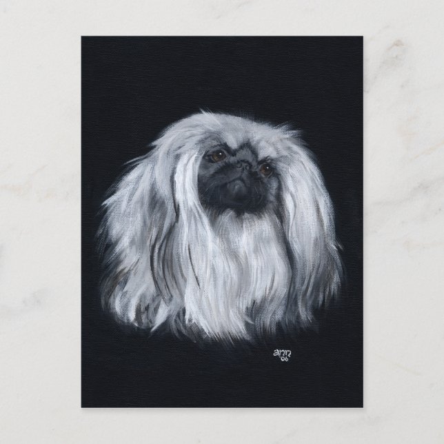 Carte Postale Pékinois Noir & Blanc (Devant)