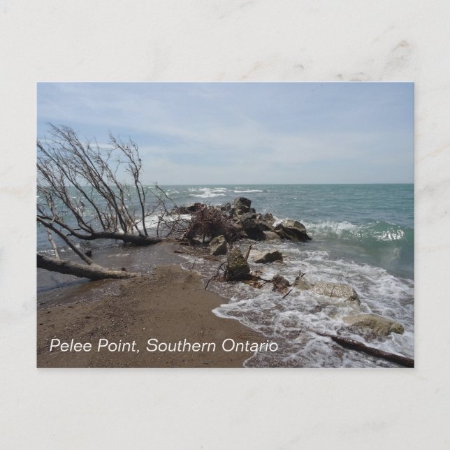 Carte Postale Pelee Point, Sud de l'Ontario (Devant)