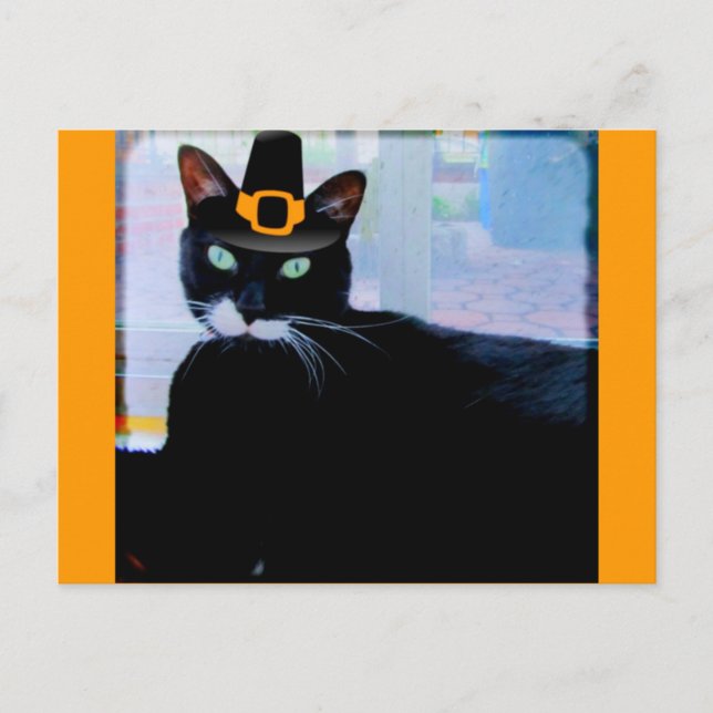 Carte Postale Pèlerin Lucy (Devant)