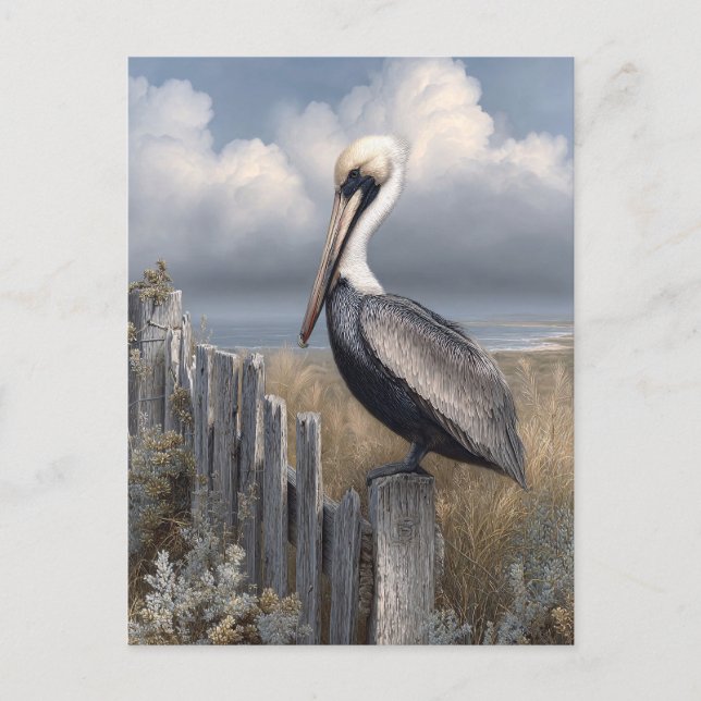 Carte Postale Pélican à l'aquarelle sur une clôture (Devant)