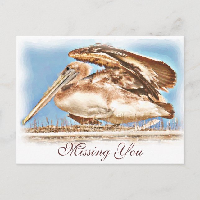 Carte Postale Pelican Await_ (Devant)