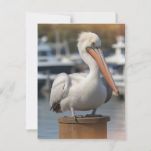 Carte Postale Pélican beau
